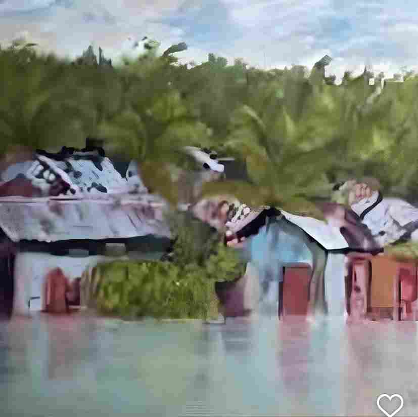 alex harris arts 2 5 11zon 5